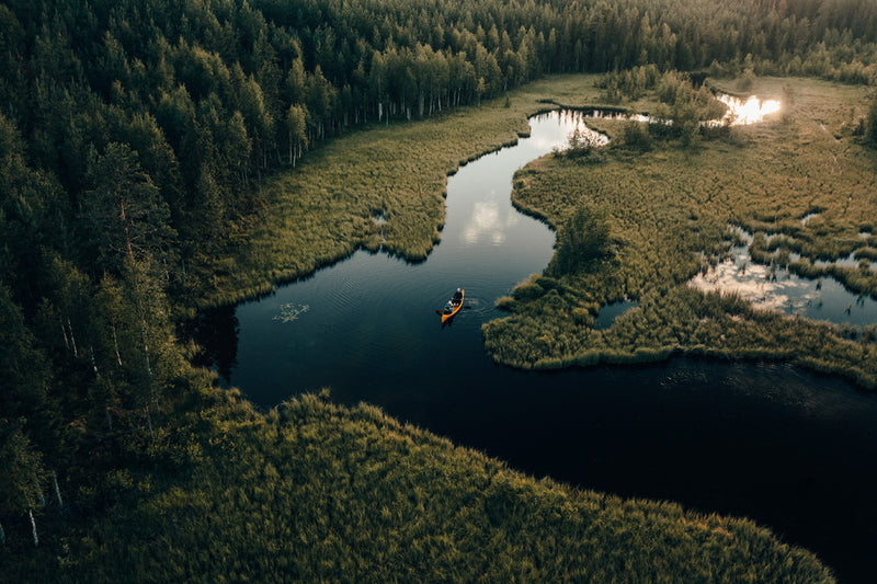 True to nature